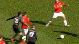 家队两夺美 家队两夺美