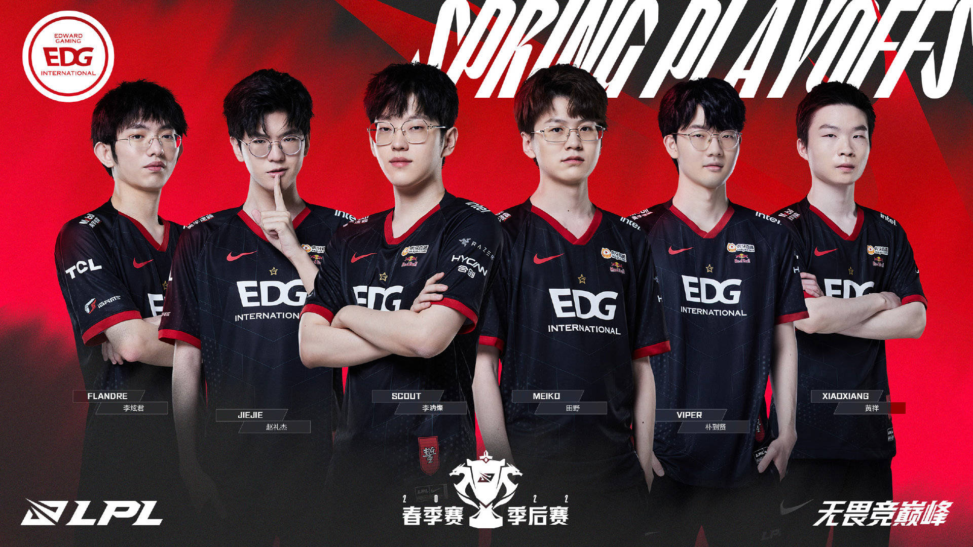 后续观察 后续观察