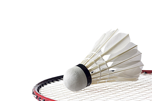 是3月搜索 是3月搜索